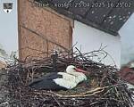 Capi_Dubne_20250425_162502.jpg
