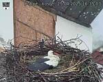 Capi_Dubne_20250425_163503.jpg