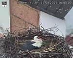 Capi_Dubne_20250425_164503.jpg