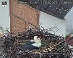 Capi_Dubne_20250425_172004.jpg