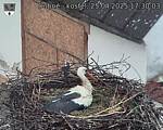 Capi_Dubne_20250425_173003.jpg