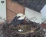 Capi_Dubne_20250425_173502.jpg