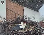 Capi_Dubne_20250425_174002.jpg
