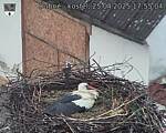Capi_Dubne_20250425_175504.jpg