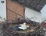 Capi_Dubne_20250425_181002.jpg