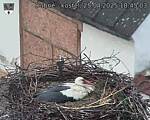 Capi_Dubne_20250425_184503.jpg
