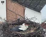 Capi_Dubne_20250425_190004.jpg