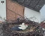 Capi_Dubne_20250425_191003.jpg
