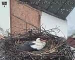 Capi_Dubne_20250425_192002.jpg