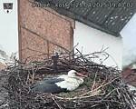 Capi_Dubne_20250425_194002.jpg