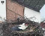 Capi_Dubne_20250425_194503.jpg