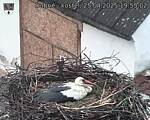 Capi_Dubne_20250425_195502.jpg