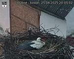 Capi_Dubne_20250425_200502.jpg