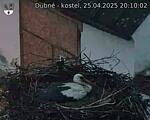 Capi_Dubne_20250425_201002.jpg