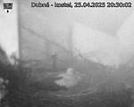 Capi_Dubne_20250425_203002.jpg