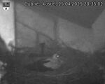 Capi_Dubne_20250425_203502.jpg