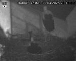 Capi_Dubne_20250425_204003.jpg