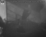 Capi_Dubne_20250425_204502.jpg