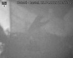 Capi_Dubne_20250425_205502.jpg