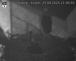 Capi_Dubne_20250425_210002.jpg