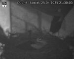 Capi_Dubne_20250425_213003.jpg
