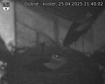 Capi_Dubne_20250425_214002.jpg