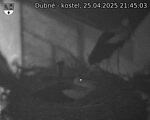 Capi_Dubne_20250425_214503.jpg