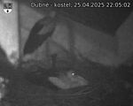 Capi_Dubne_20250425_220502.jpg