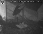 Capi_Dubne_20250425_223002.jpg