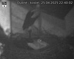 Capi_Dubne_20250425_224002.jpg