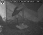 Capi_Dubne_20250425_225002.jpg