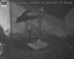 Capi_Dubne_20250425_225502.jpg