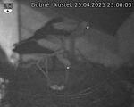 Capi_Dubne_20250425_230003.jpg