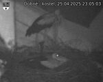 Capi_Dubne_20250425_230503.jpg