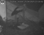 Capi_Dubne_20250425_231002.jpg