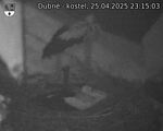 Capi_Dubne_20250425_231503.jpg