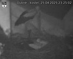 Capi_Dubne_20250425_232502.jpg