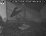 Capi_Dubne_20250425_233003.jpg