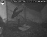 Capi_Dubne_20250425_233503.jpg