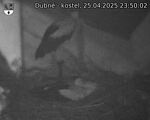 Capi_Dubne_20250425_235002.jpg