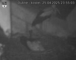 Capi_Dubne_20250425_235503.jpg