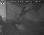 Capi_Dubne_20250426_000002.jpg