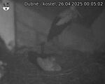 Capi_Dubne_20250426_000502.jpg