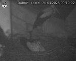 Capi_Dubne_20250426_001002.jpg