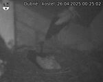 Capi_Dubne_20250426_002502.jpg