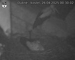 Capi_Dubne_20250426_003002.jpg