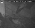 Capi_Dubne_20250426_004003.jpg
