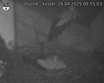 Capi_Dubne_20250426_005503.jpg