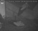 Capi_Dubne_20250426_010502.jpg