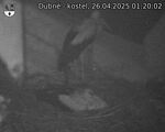 Capi_Dubne_20250426_012002.jpg